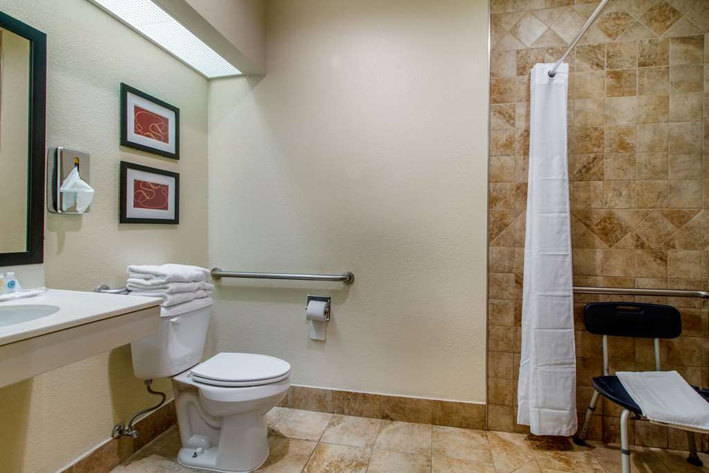 Comfort Suites Danville - photo 9