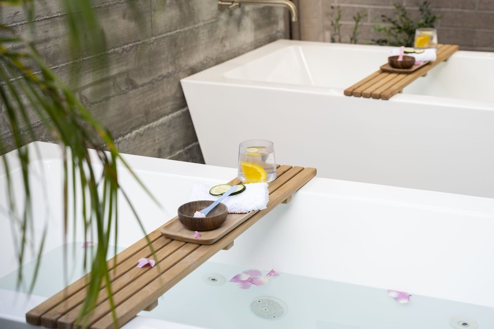 Dr. Wilkinson's Backyard Resort and Mineral Springs a Member of Design Hotels - photo 26