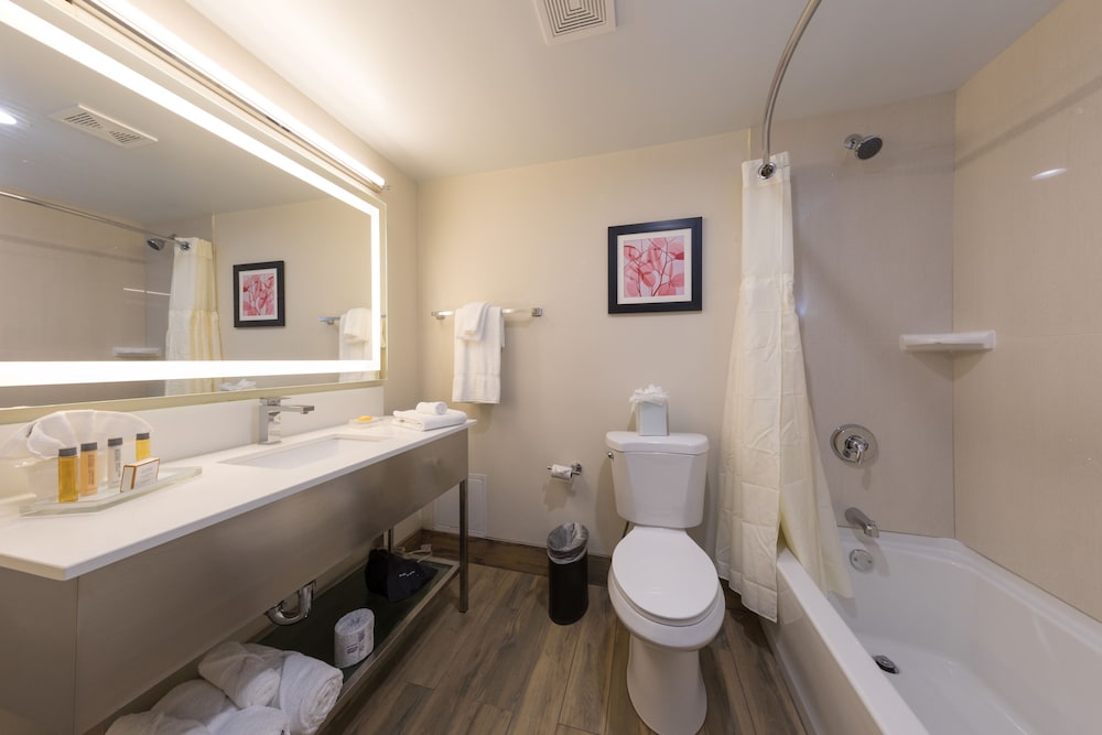 Holiday Inn Brookfield Milwaukee by IHG - photo 25