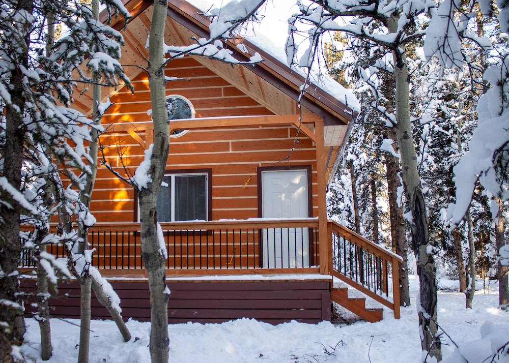 Denali Wild Stay - photo 70
