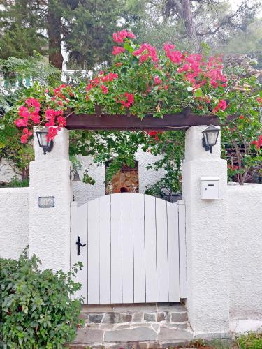 Poros Pine View — Poros — photo 3