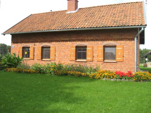 Pieczarki — Wegorzewo — photo 5