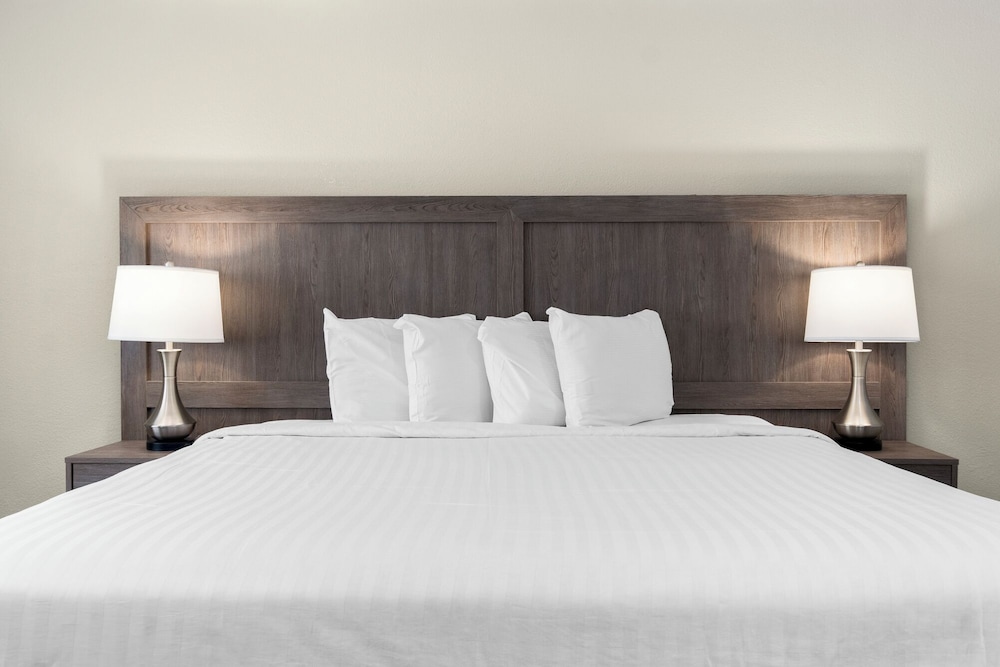 Serene Vegas Boutique Hotel Las Vegas - photo 21