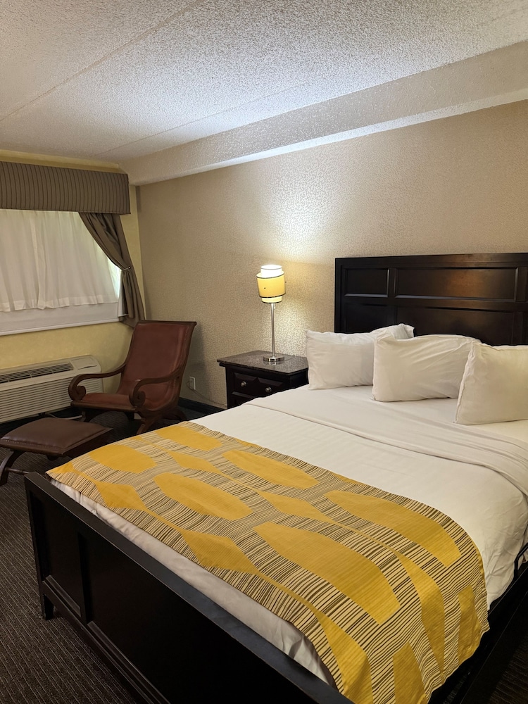 Marvin's Garden Inn — hotel in Southfield