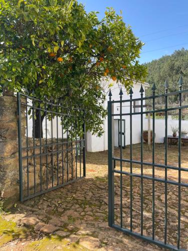 Casa do Olho d'Água — 4-Star Luxury Hotel in Portalegre, Portugal
