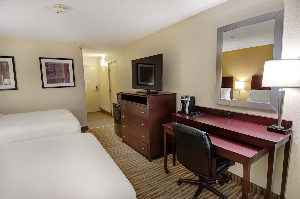 Holiday Inn St Petersburg N Clearwater by IHG - photo 14