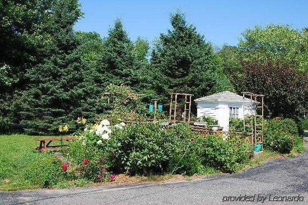 The Homestead Motel - photo 3