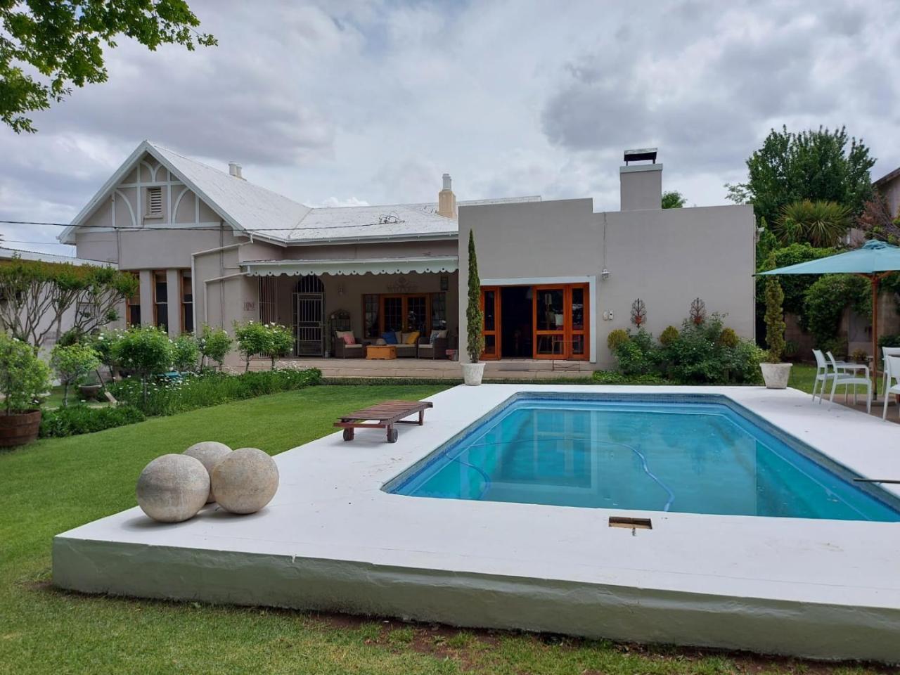 Oaktree in Burgersdorp, South Africa