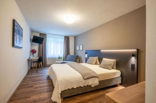Hotel Alpina - last minute hotel in Schiers