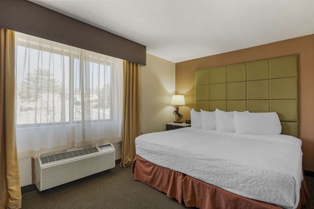 Best Western Plus Country Inn & Suites - photo 13