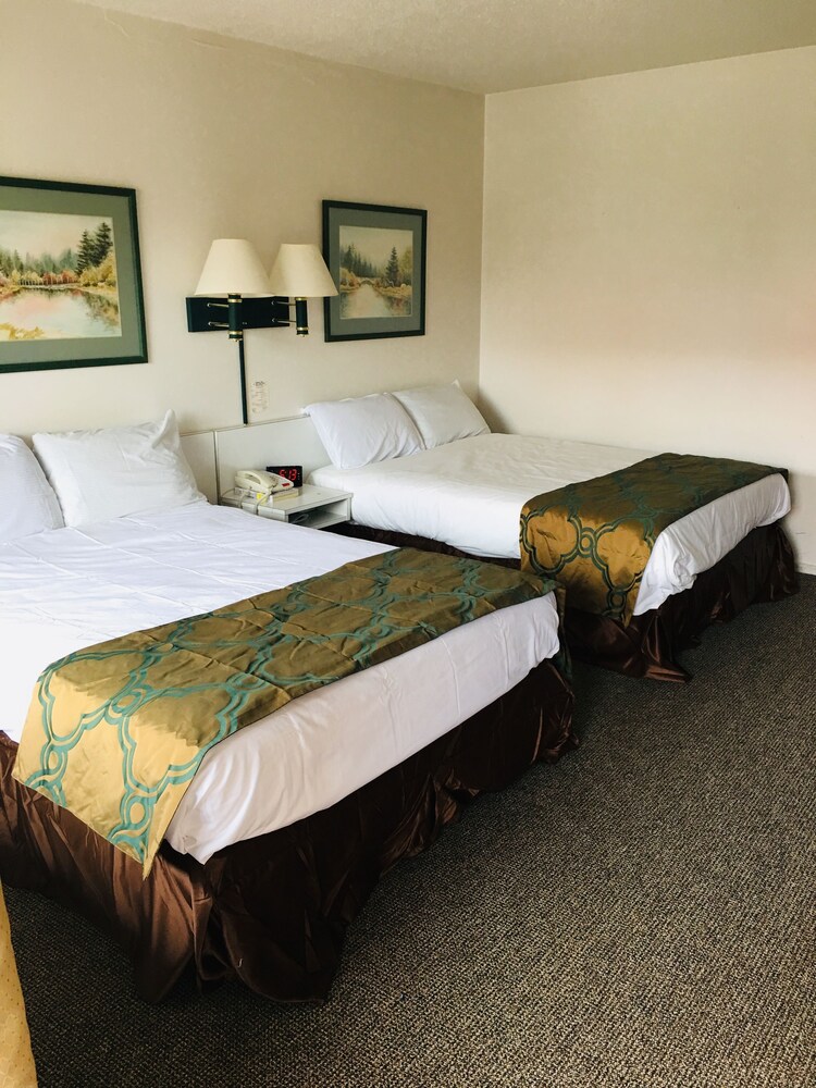 Imperial inn - photo 5