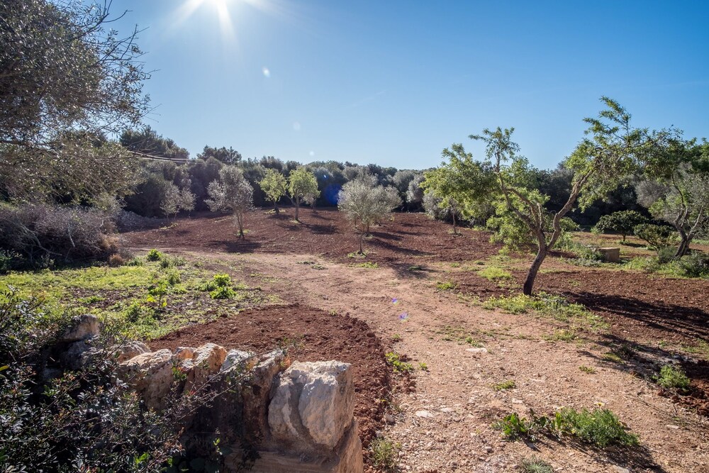 Son Sec by dracmallorca — 4-Star Luxury Hotel in Santanyi, Spain