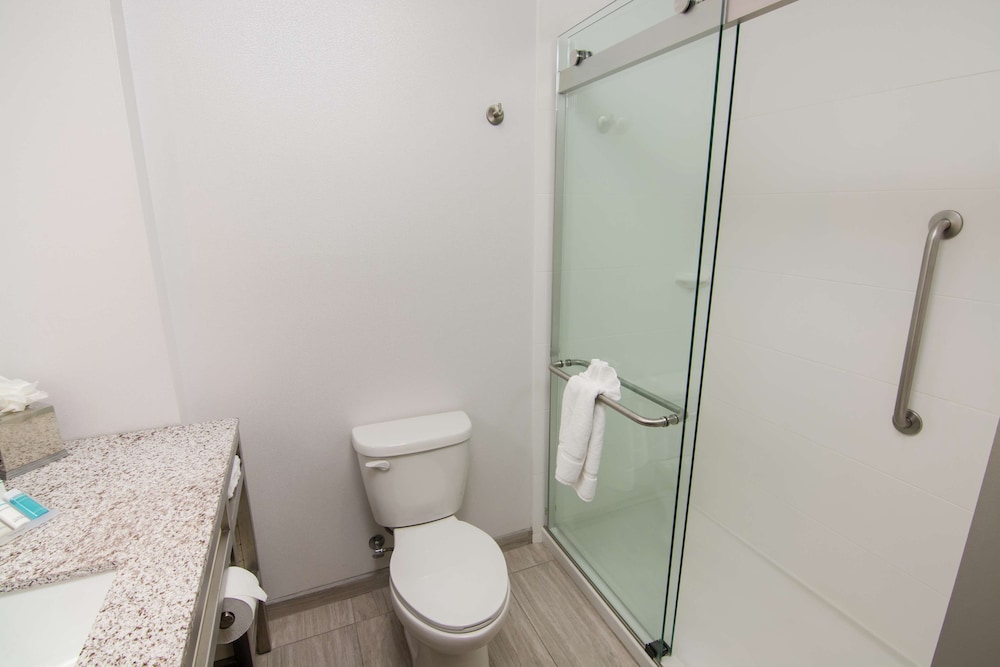 Hilton Garden Inn Tampa Suncoast Parkway - photo 50