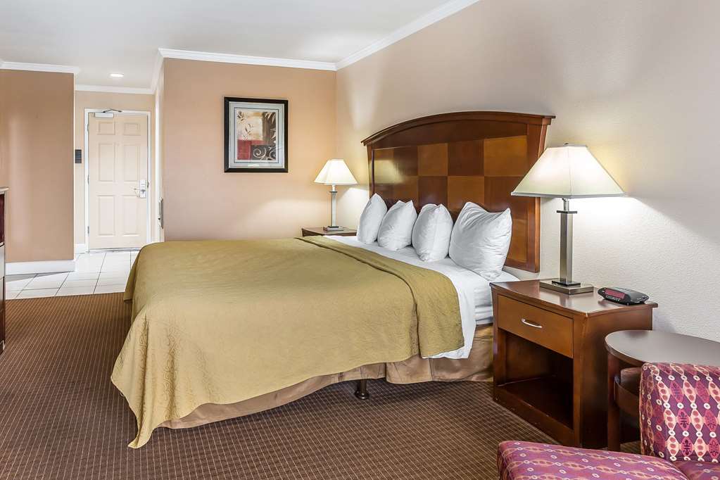 Quality Inn near Hearst Castle - photo 11