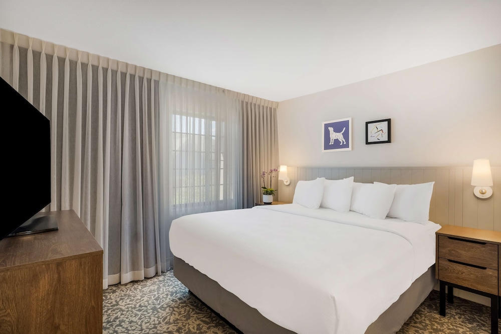 Sonesta ES Suites Denver South Park Meadows - photo 24