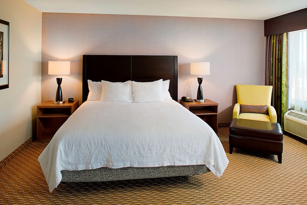 Hilton Garden Inn Hartford North Bradley International Airport - photo 13