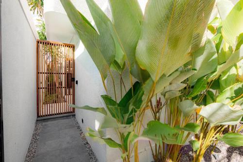 Town House Rex — 4-Star Luxury Hotel in Kuta, Indonesia