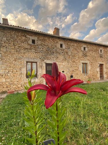 Le Papillon in Savigne, France