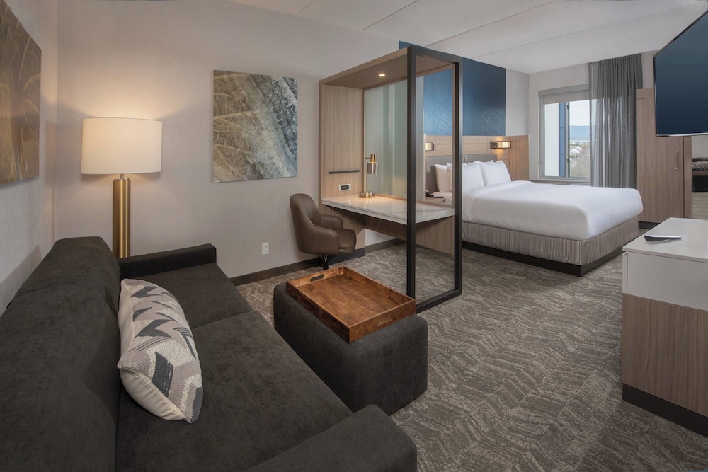 SpringHill Suites by Marriott Frederick - photo 10
