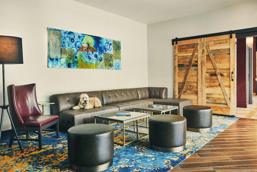 The Draftsman Charlottesville University Autograph Collection Hotel - photo 2