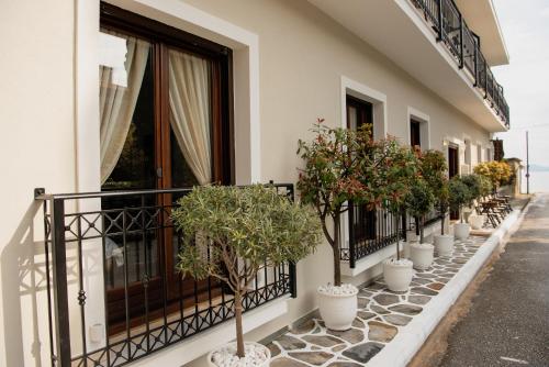 Hotel Agelis — Unknown City — photo 5