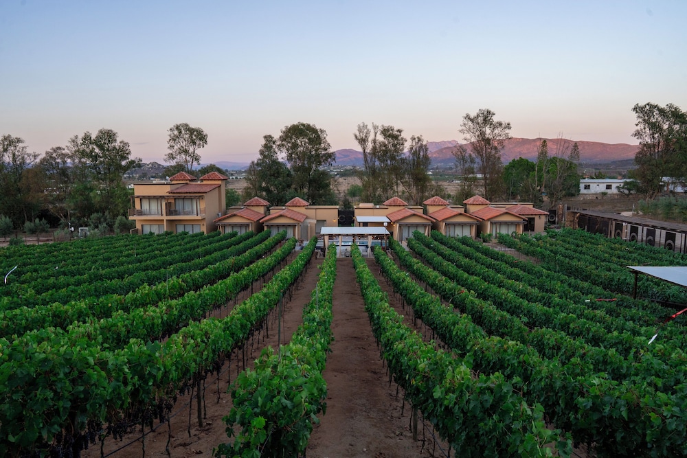 Emmalu Hotel Boutique in Valle De Guadalupe, Mexico