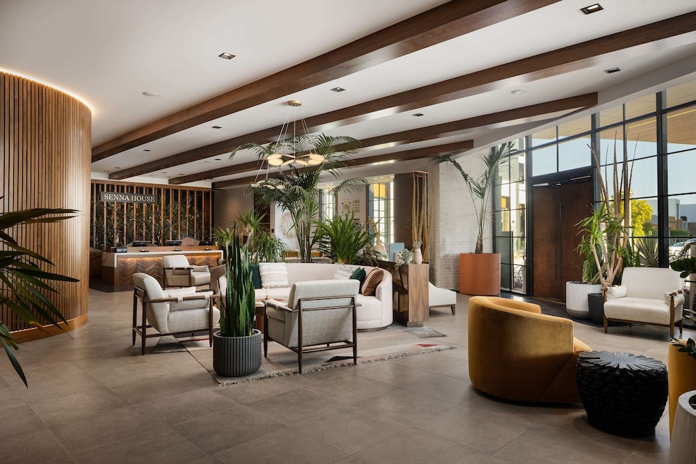 Senna House Hotel Scottsdale Curio Collection by Hilton - photo 11