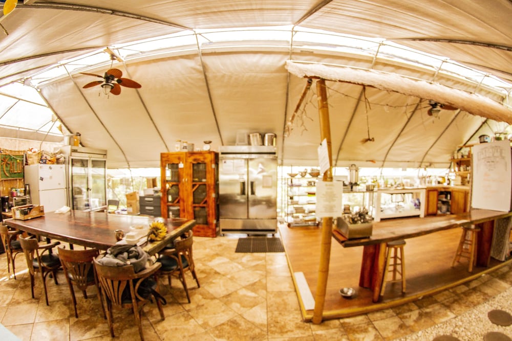 Hawaiian Sanctuary - photo 25