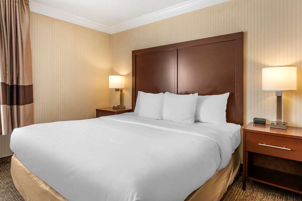 Comfort Suites Downtown Carlisle - photo 11