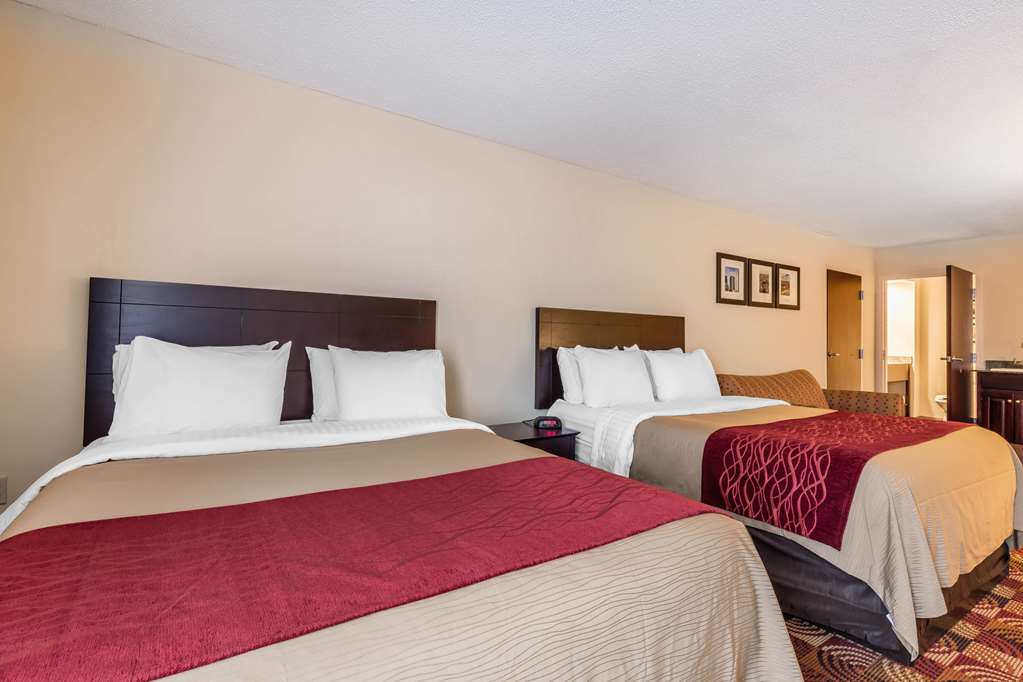 Comfort Inn & Suites Jasper Hwy 78 West - photo 23