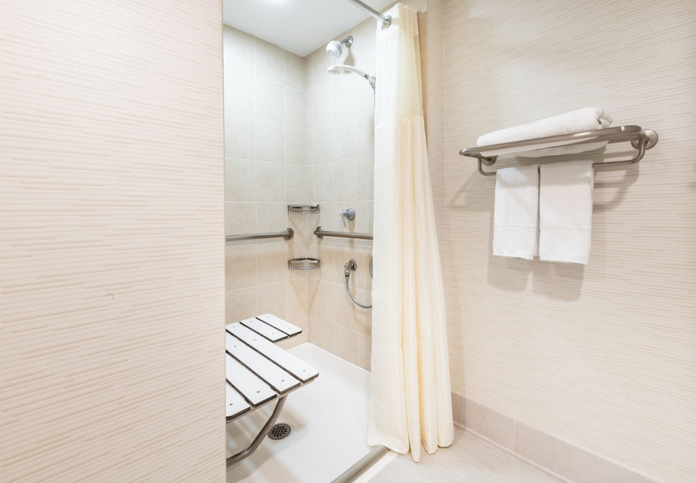 Embassy Suites by Hilton Philadelphia Valley Forge - photo 24