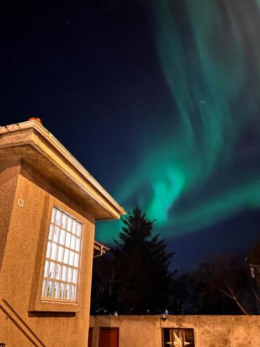 Casa Dísa Apartments A Boutique Guesthouse in Reykjavik City`s Central Park and Botanical Garden in Laugardalur Hot Spring Valley