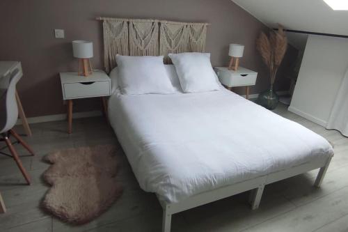 Le Cocon de Rose - carbon neutral hotel in Toulouse
