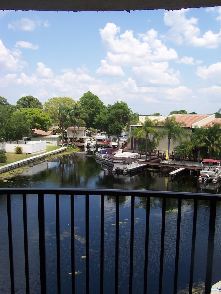 Vista Inn Lake Tarpon - photo 28