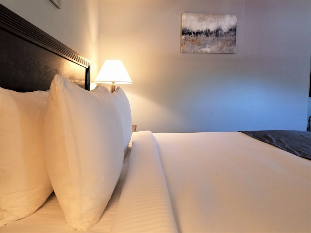 Mt Madison Inn & Suites - photo 13