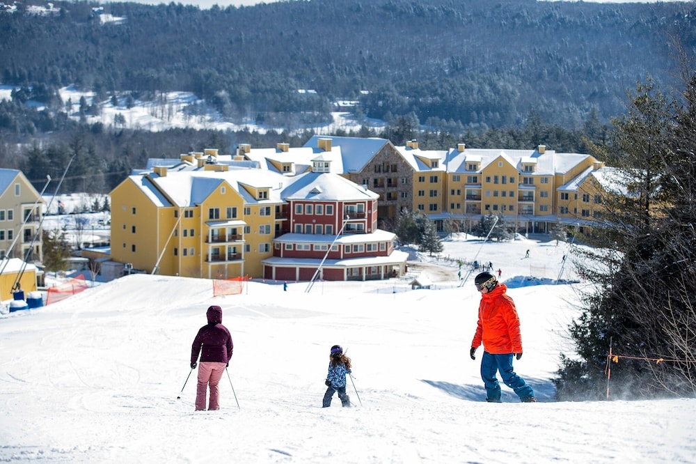 Winterplace at Okemo A Vail Resorts Property - photo 24
