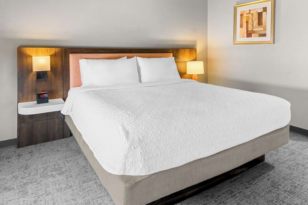 Hampton Inn & Suites Abilene I 20 - photo 11