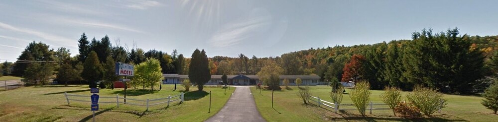Elm Tree Motel - photo 16