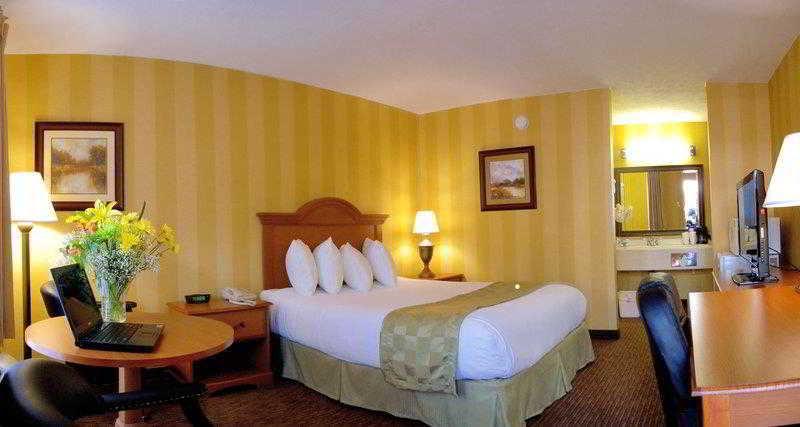 Best Western Central Plaza - photo 8