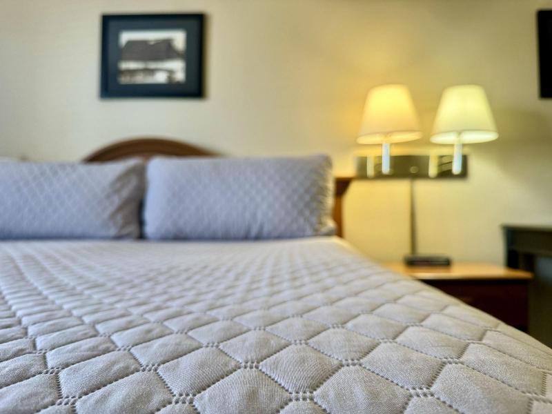 Quilt Inn - photo 8
