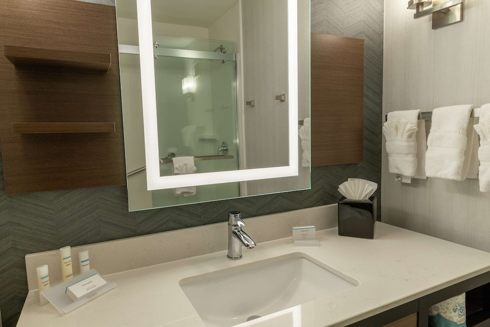 Hilton Garden Inn Des Moines West - photo 54