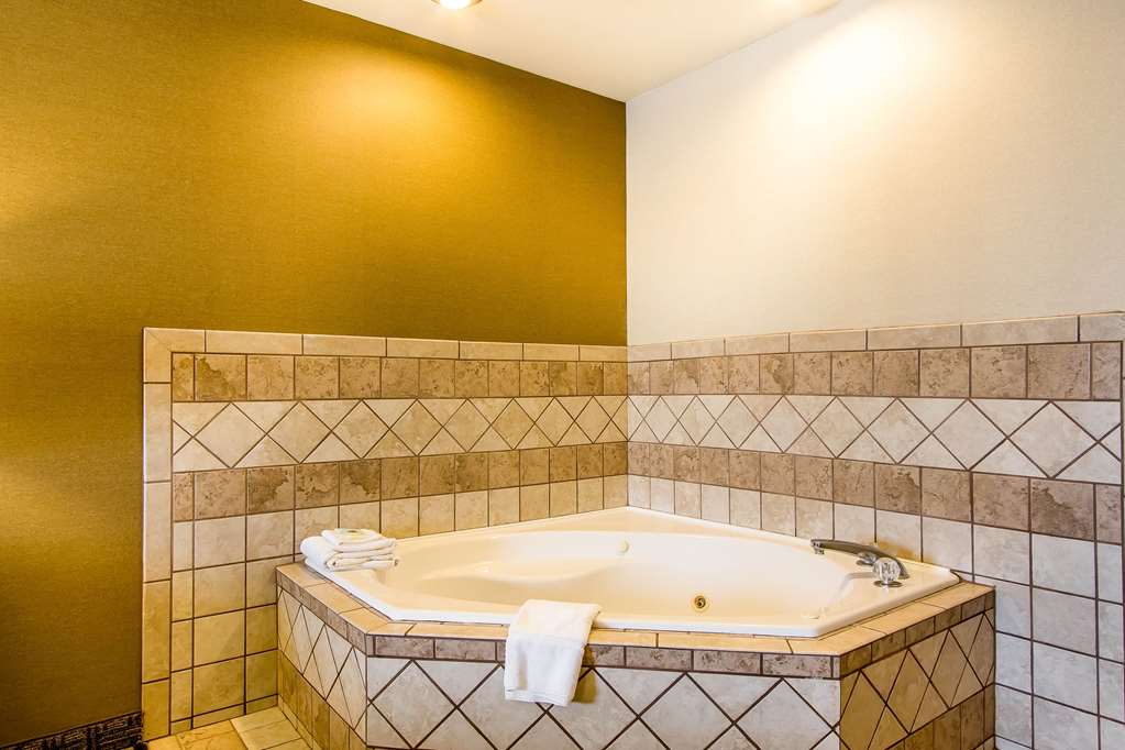 Comfort Suites Richmond - photo 22
