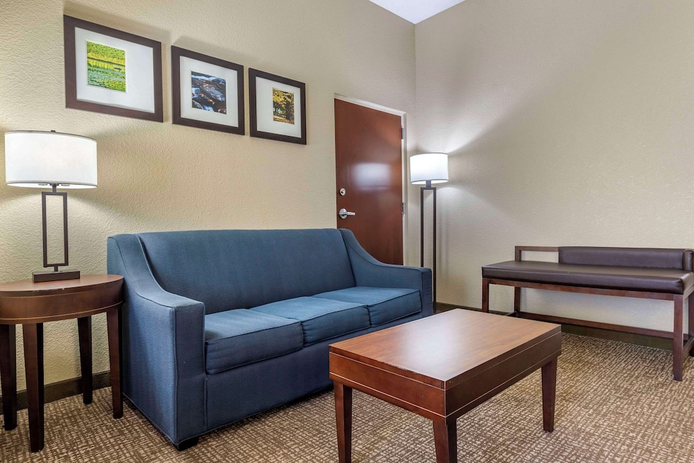 Comfort Inn & Suites Mocksville I 40 - photo 28