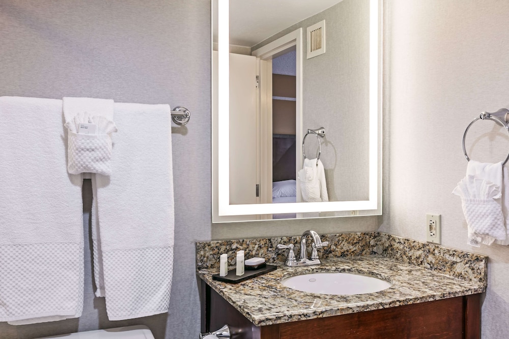 Embassy Suites by Hilton Dallas Market Center - photo 29