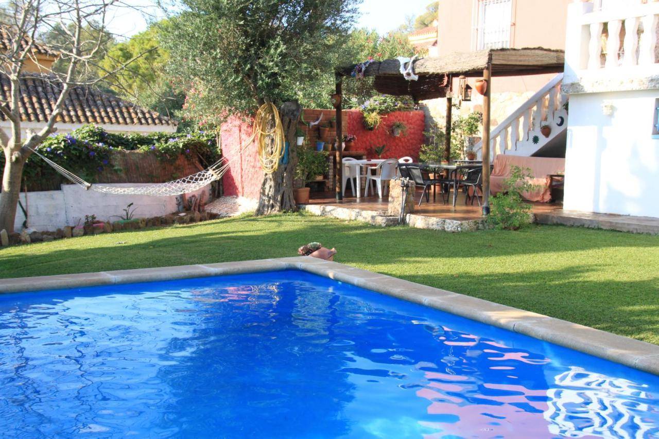 Bambu in Vejer De La Frontera, Spain