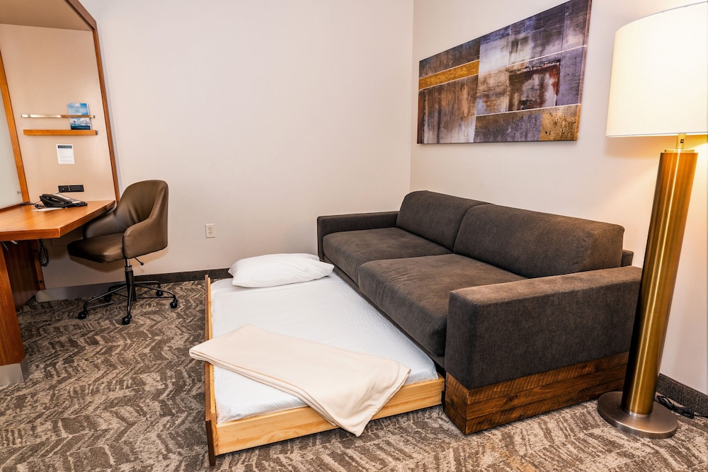 SpringHill Suites by Marriott San Antonio Alamo Plaza Convention Center - photo 6