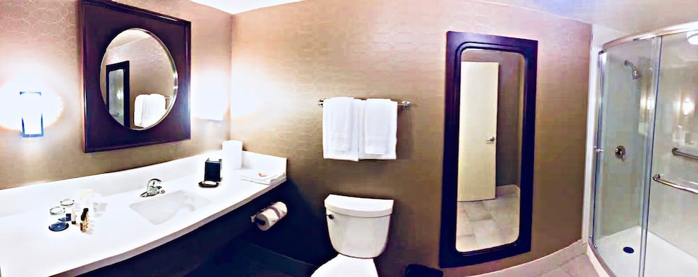 Sheraton Ontario Airport Hotel - photo 13