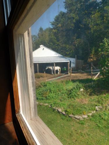 No View Farm - photo 4
