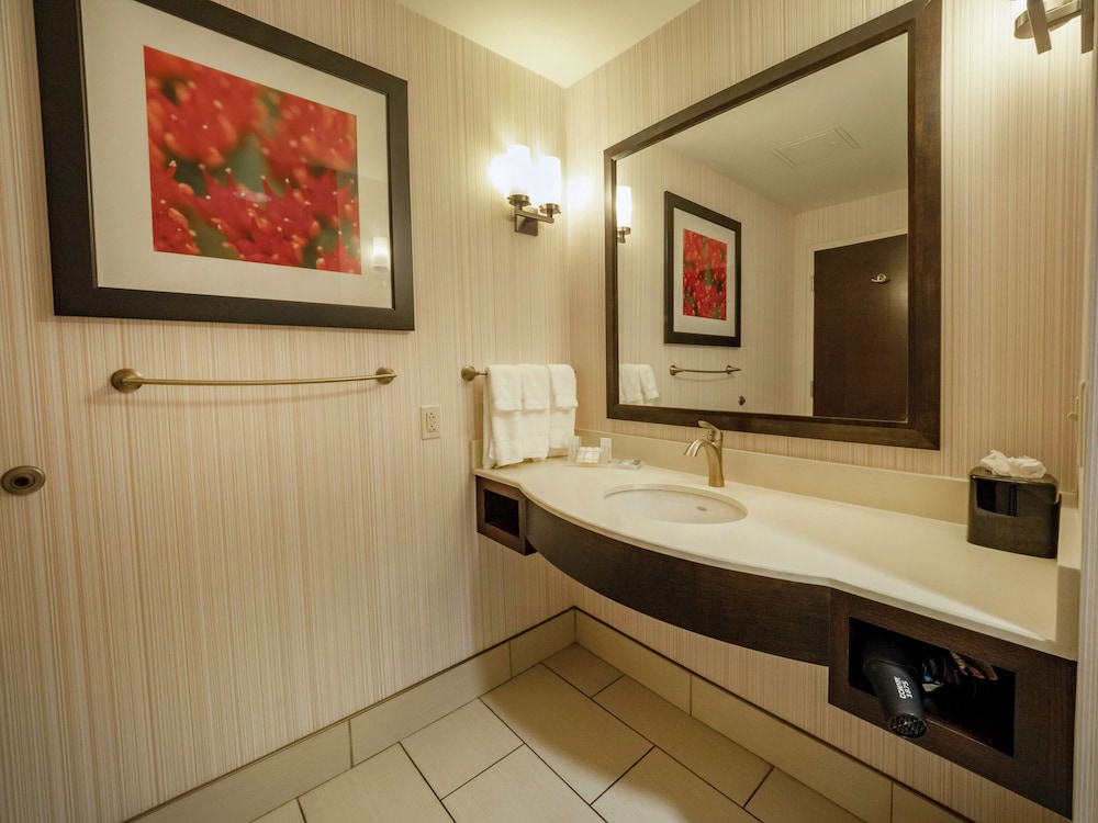 Hilton Garden Inn Buffalo Downtown - photo 33