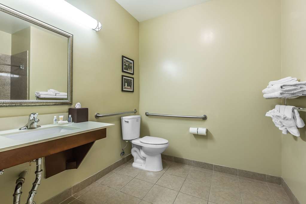 Comfort Inn Pomona near Fairplex - photo 17